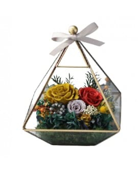 Preserved Fresh Flowers - Wizard of Oz