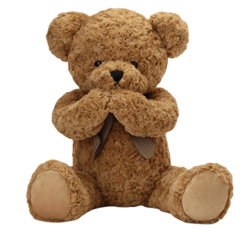 Shy Teddy Bear Toy - Light Brown