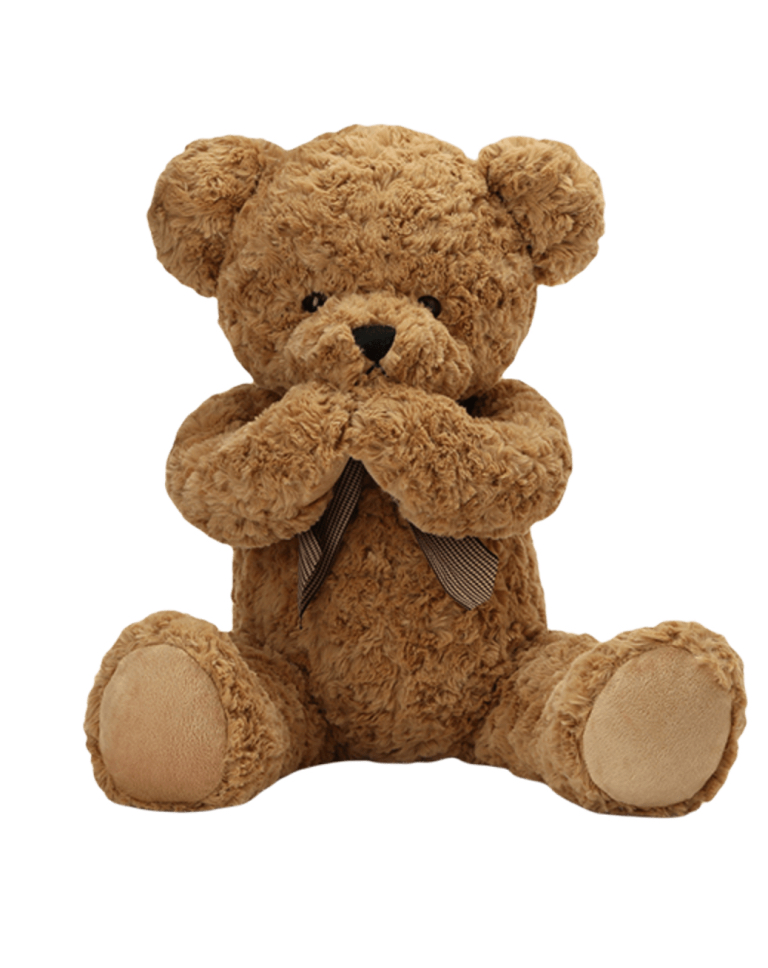 Shy Teddy Bear Toy - Light Browna