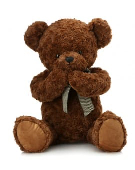 Shy Teddy Bear Toy - Dark Brown