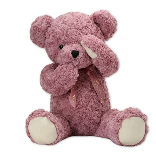 Shy Teddy Bear Toy - Pink