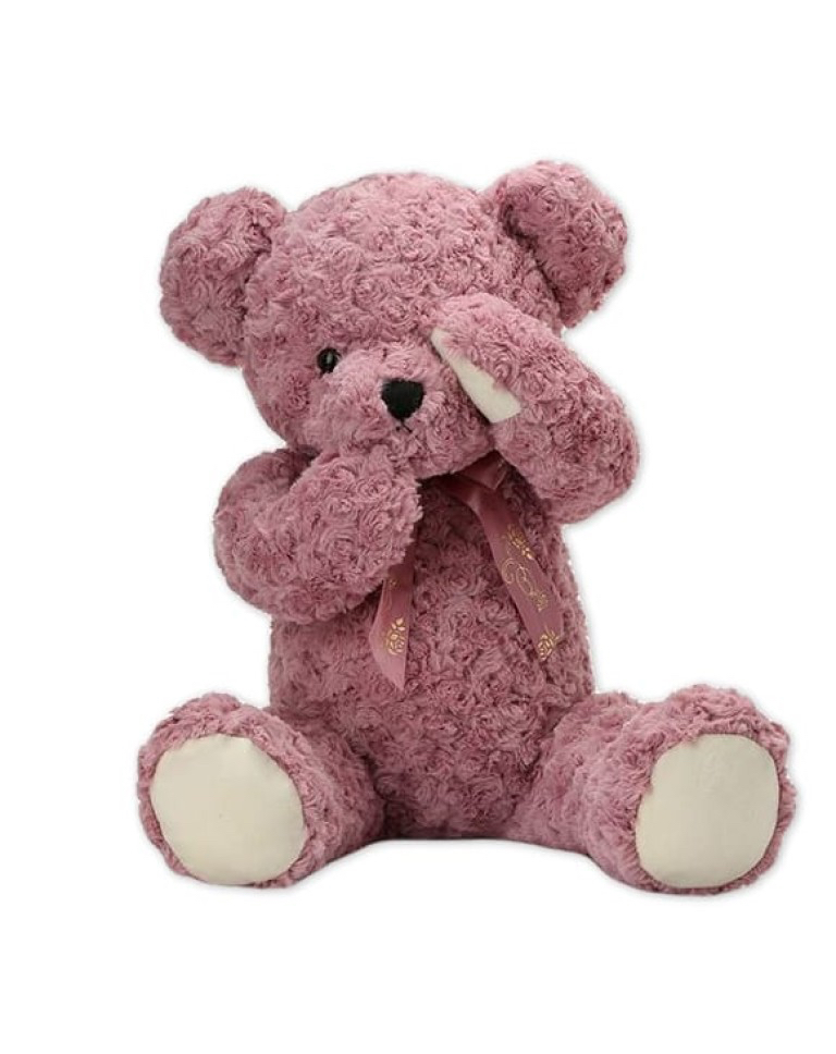 Shy Teddy Bear Toy - Pinka