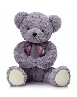 Shy Teddy Bear Toy - Purple
