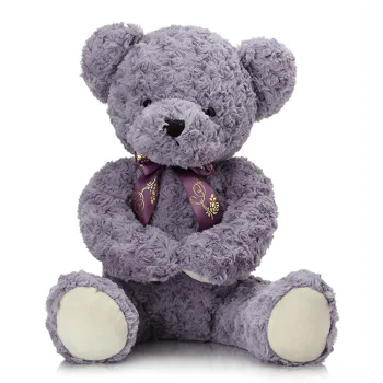 Shy Teddy Bear Toy - Purple Shy Teddy Bear Toy - Purple