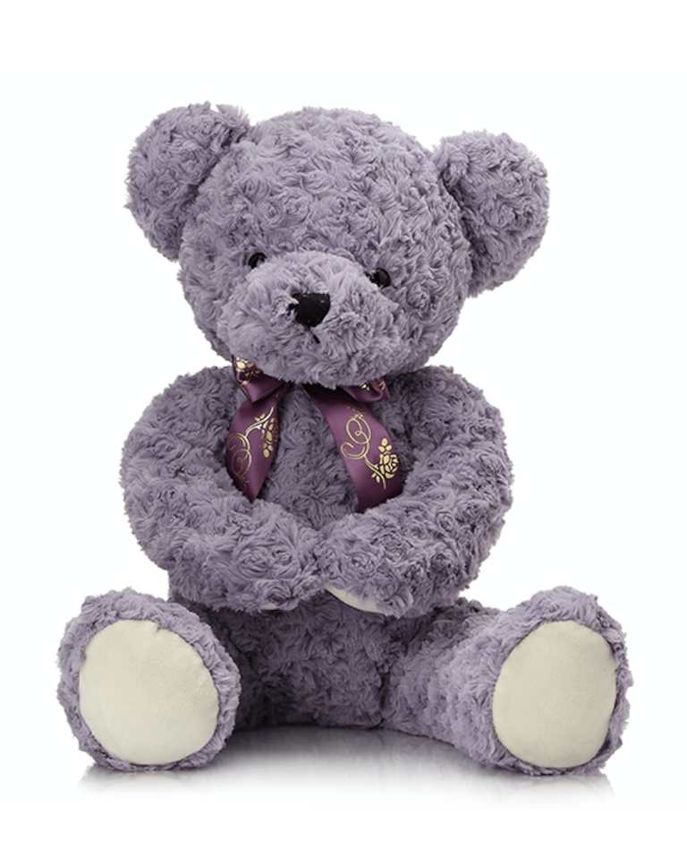 Shy Teddy Bear Toy - Purple