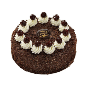 Midnight Choco Celebration