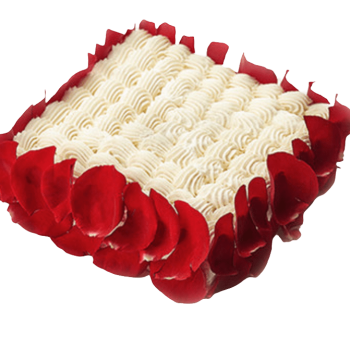 Pure Affection Cream Cake