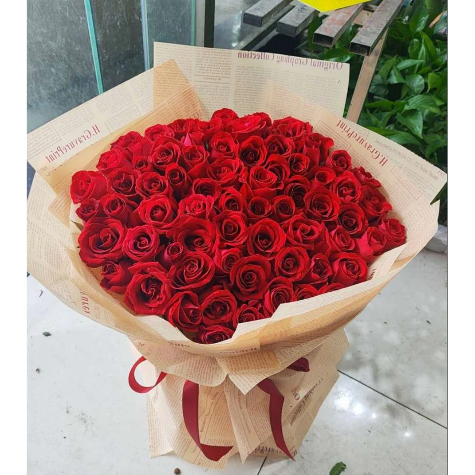 Midnight Blush 66 red roses delivered to customer