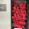 Deep Desire Deep Desire