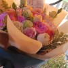 A World of Roses