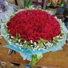 Valentine Scarlet Symphony