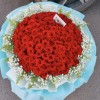 Valentine Scarlet Symphony