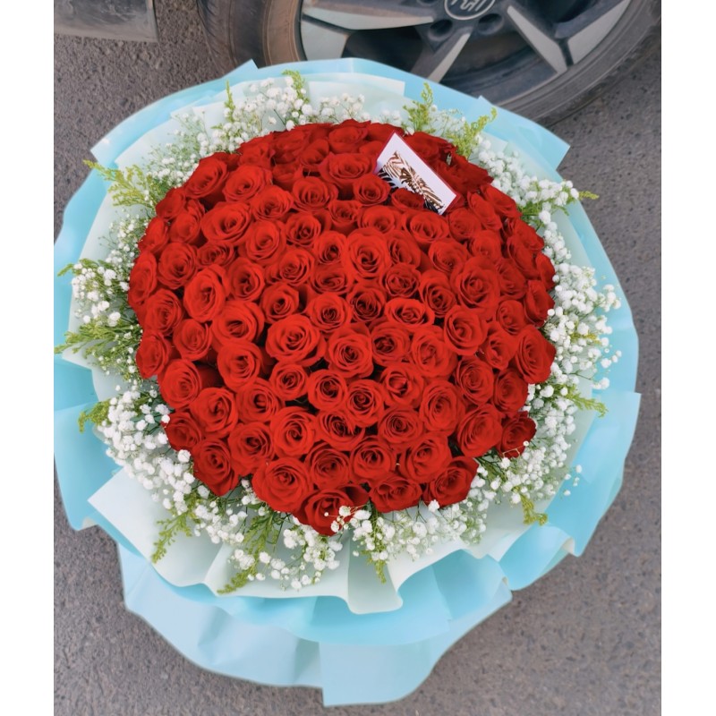 Valentine Scarlet Symphony