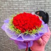 Regal Crimson Celebration Regal Crimson Celebration
