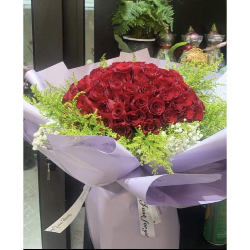 Regal Crimson Celebration Regal Crimson Celebration