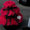 Roses in Bloom – Floyd Rose Tower Roses in Bloom – Floyd Rose Tower