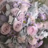 Misty Lavender Dream Misty Lavender Dream