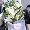 花之精萃