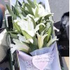 Fleur Essence