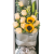 Box Flowers