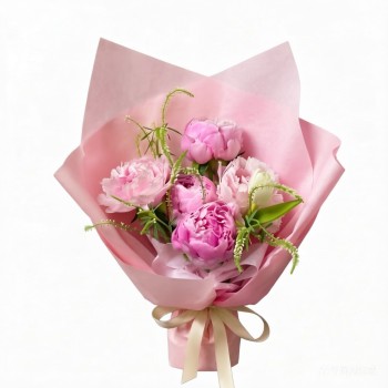 Blush Peony Whispers