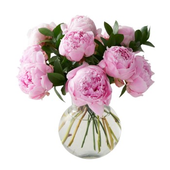 Rouge Peony Rouge Peony
