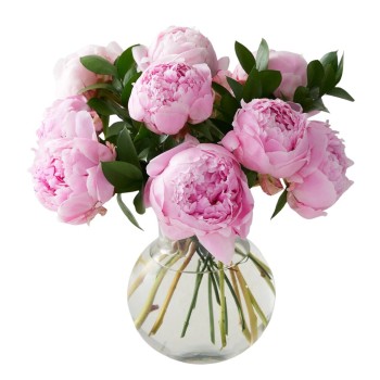 Rouge Peony Rouge Peony