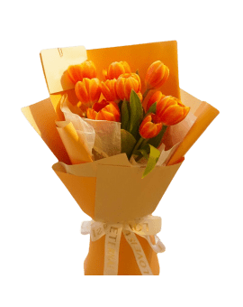 10 Orange Tulips