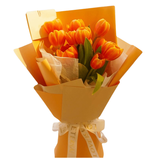 10 Orange Tulips