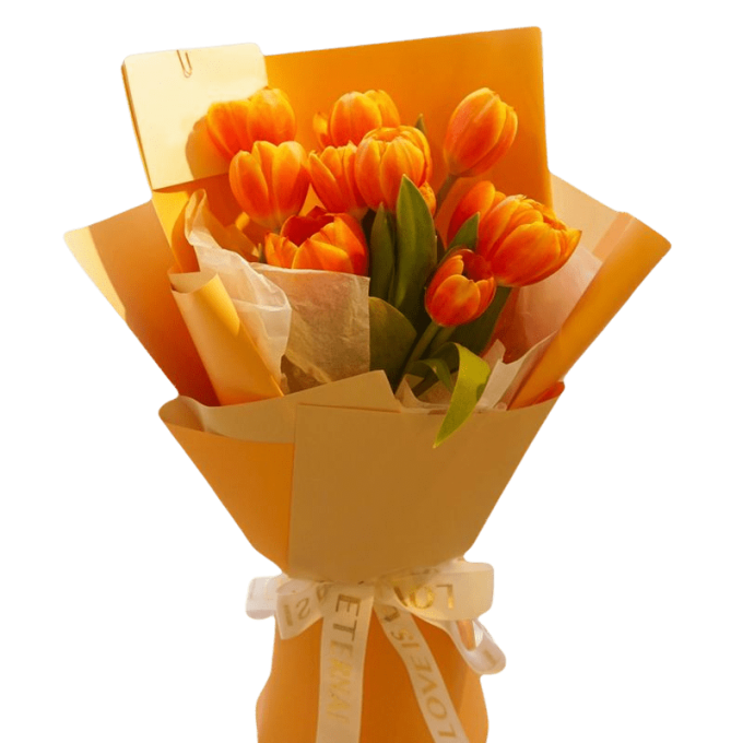 10 Orange Tulips
