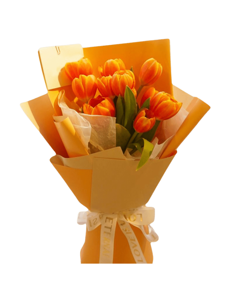 10 Orange Tulipsa