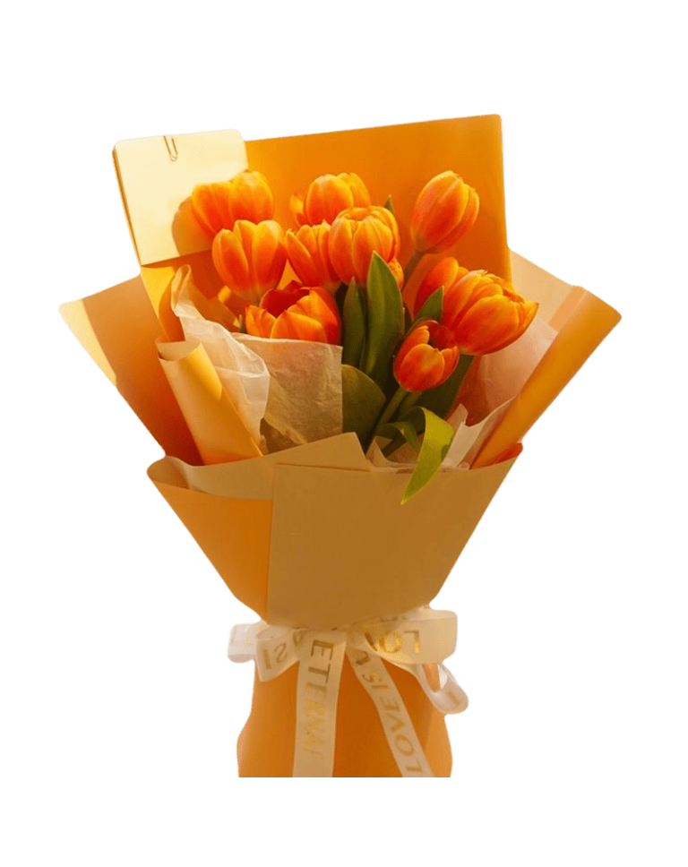 10 Orange Tulips