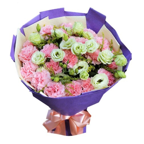 20 Pink Carnations 