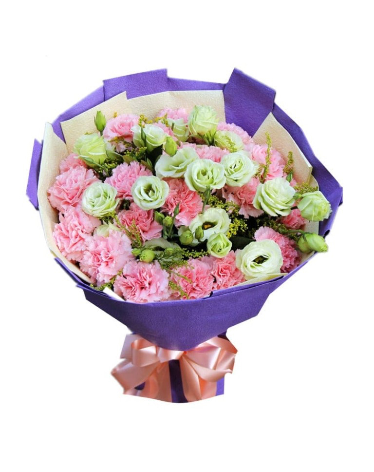 20 Pink Carnations 