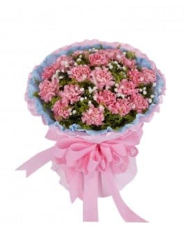 20 Pink Carnations