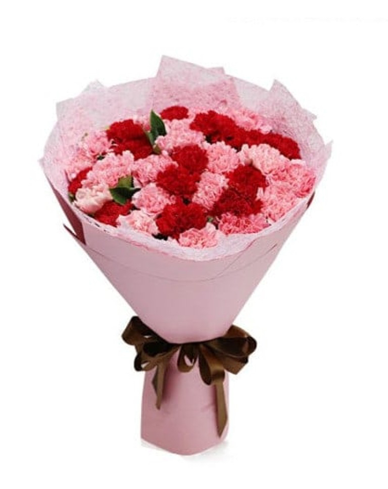33 Mixed Carnations