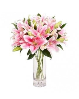 18 Pink Lilies in Glass Vase