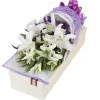 Fleur Essence