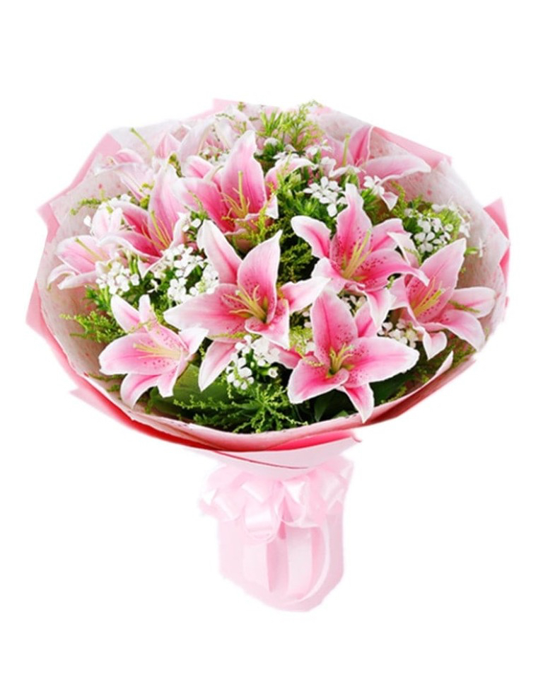 21 Pink Liliesa