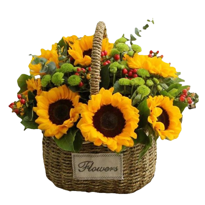 10 Sunflowers in Basket