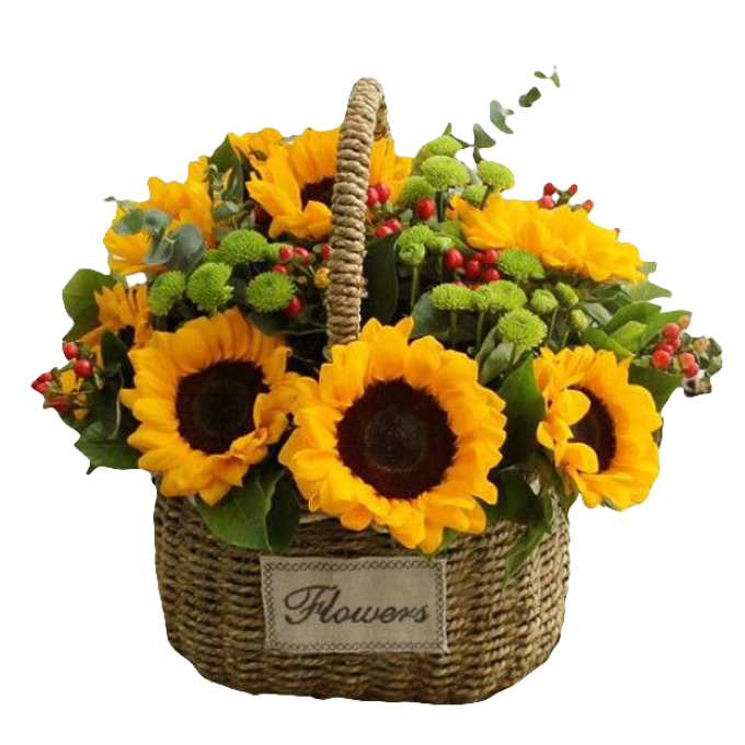 10 Sunflowers in Basket