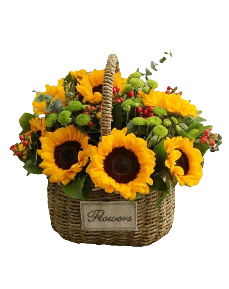 10 Sunflowers in Basketa