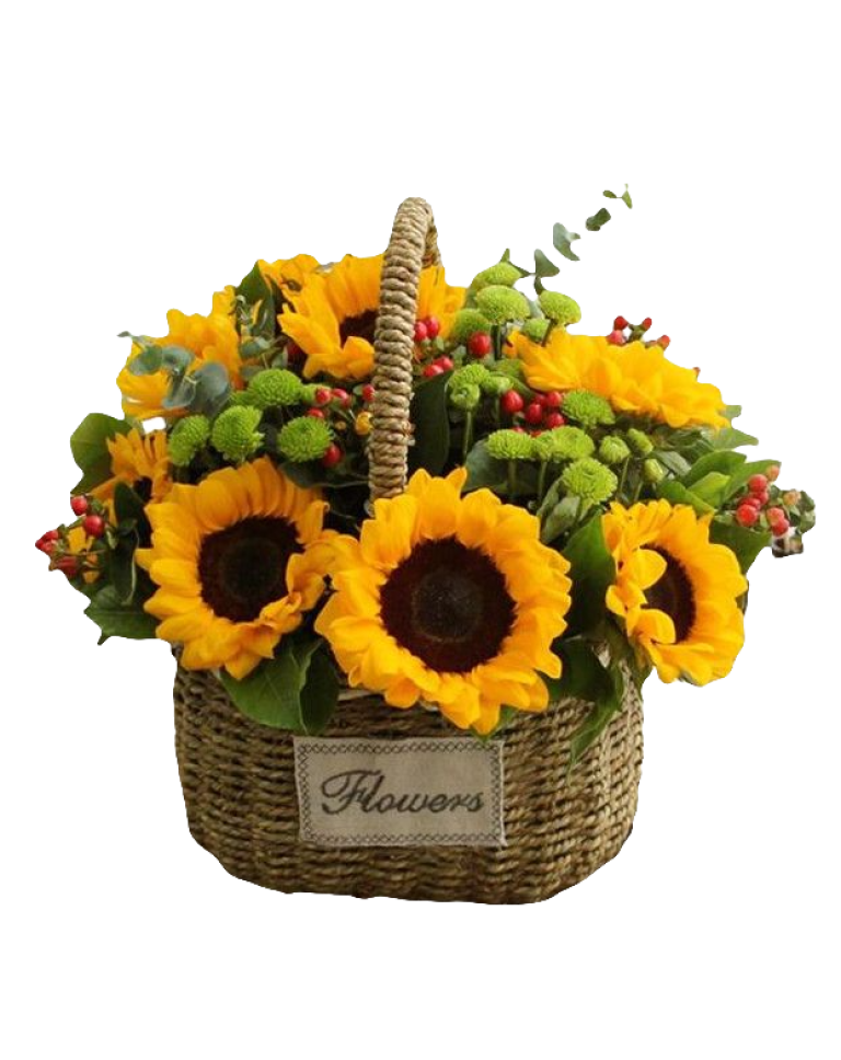 10 Sunflowers in Basket