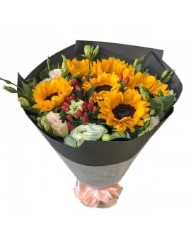 6 Sunflowers