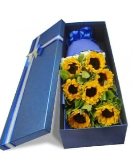 7 Sunflowers in Luxury Box