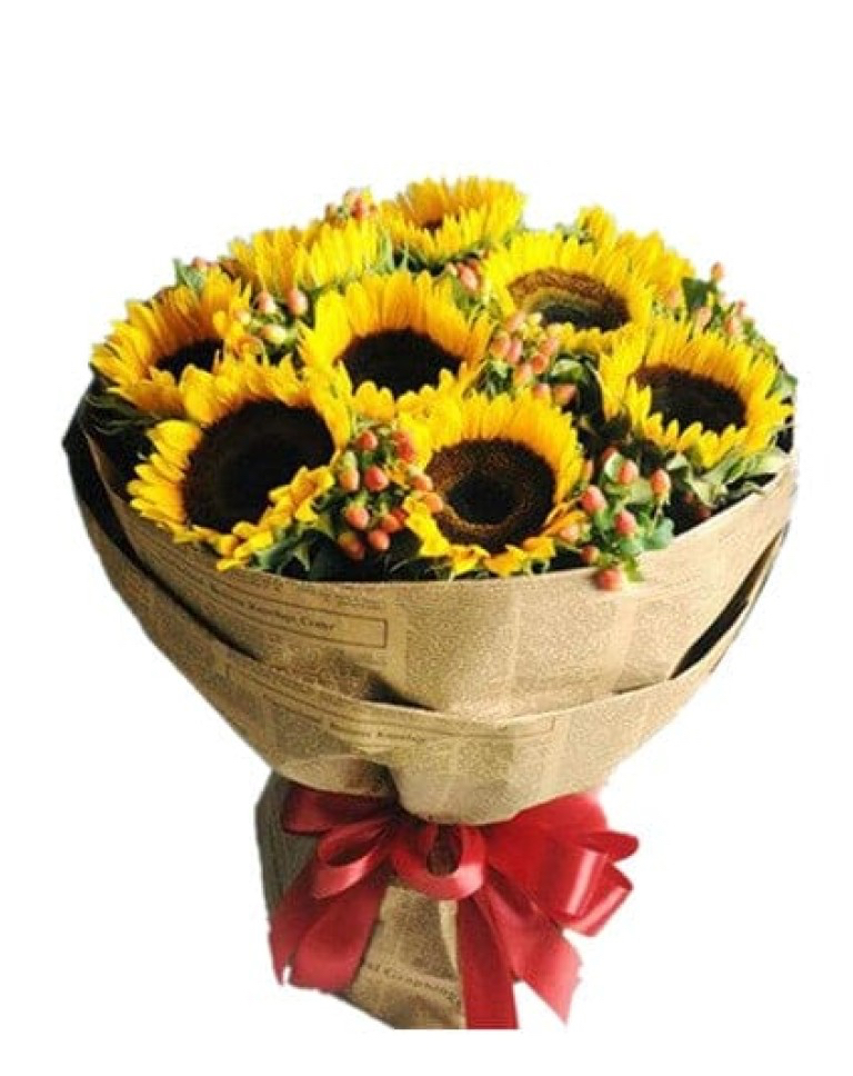 9 Sunflowersa