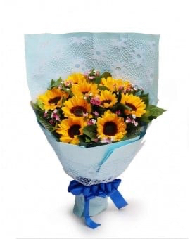 9 Sunflowers
