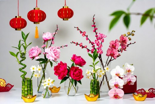 Welcoming 2026: Best Flowers to Gift a Chinese Girl for the New Year