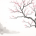 Chinese Flower Symbolism