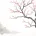 Chinese Flower Symbolism